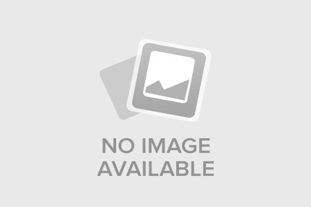 Рай. Год в аду